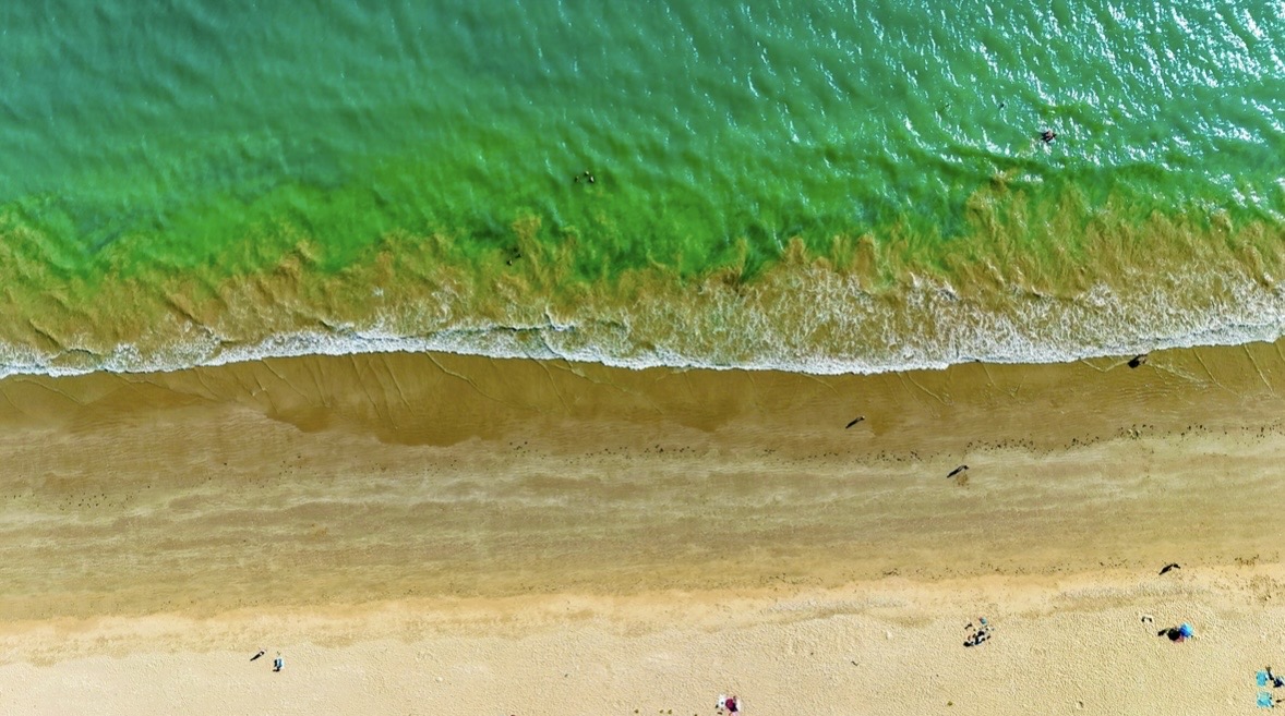 Turquoise sea meeting a pale shoreline, photographed from directly above